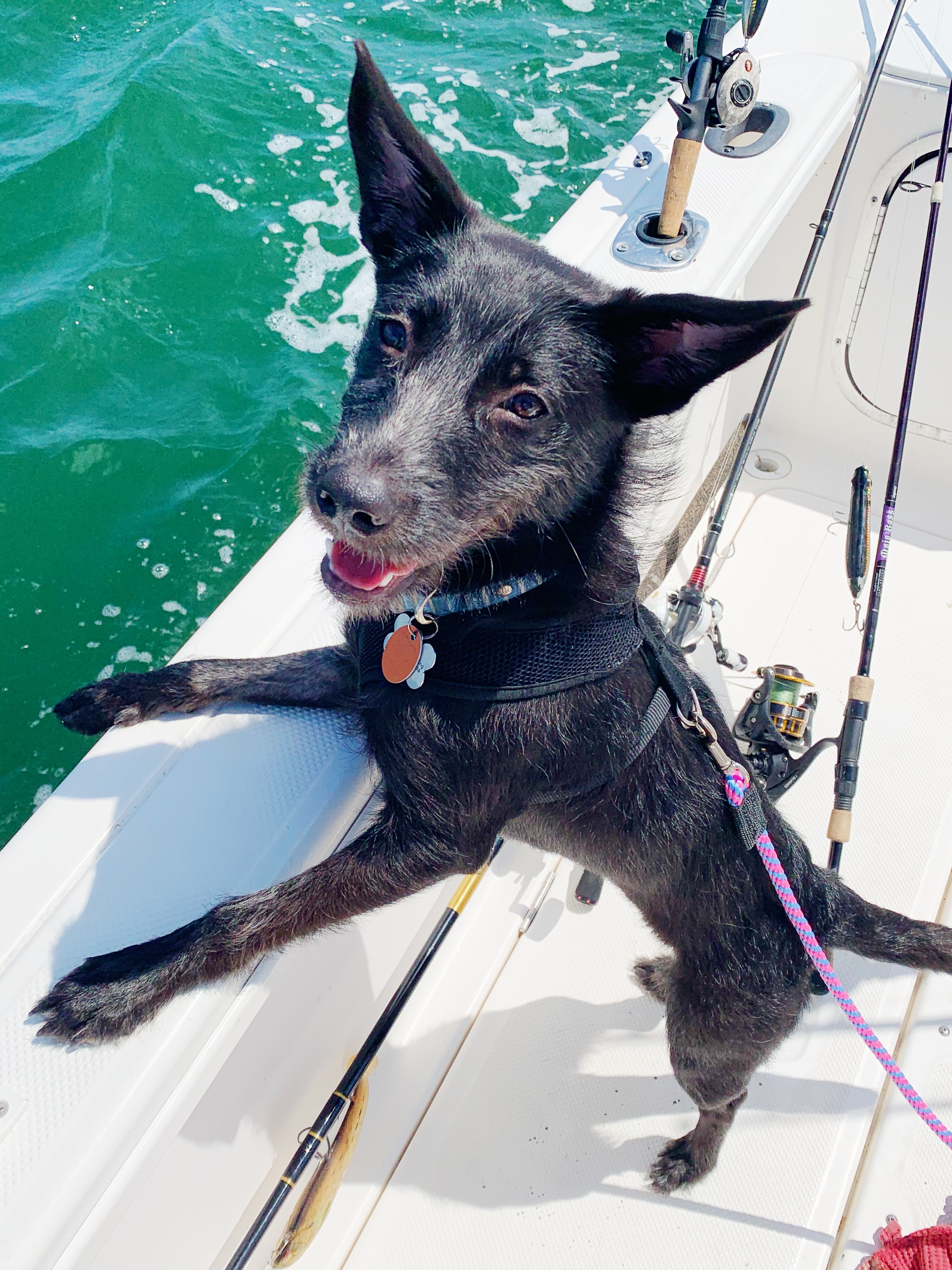 The Importance of Balance, Exercise, Nutrition, and Relaxation.